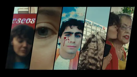 Cardo, los motivos Cardo, los motivos