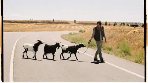 Escena cabras Escena cabras