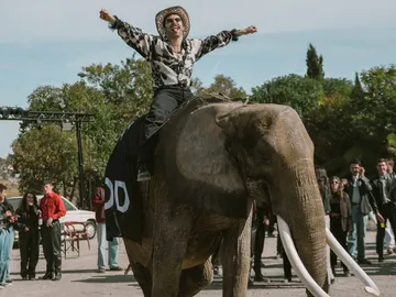 El parking de NOD enloquece al ver entrar a Sento a lomos de un elefante El parking de NOD enloquece al ver entrar a Sento a lomos de un elefante