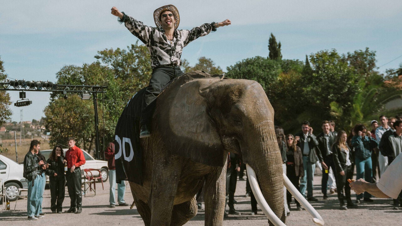 El parking de NOD enloquece al ver entrar a Sento a lomos de un elefante