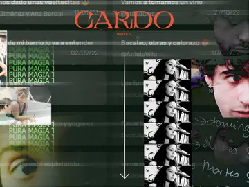 Cardo Cardo