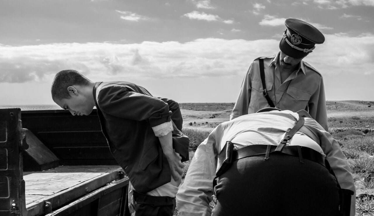 El adi&oacute;s agridulce de La Bambi en Tef&iacute;a: la separaci&oacute;n de sus compa&ntilde;eros