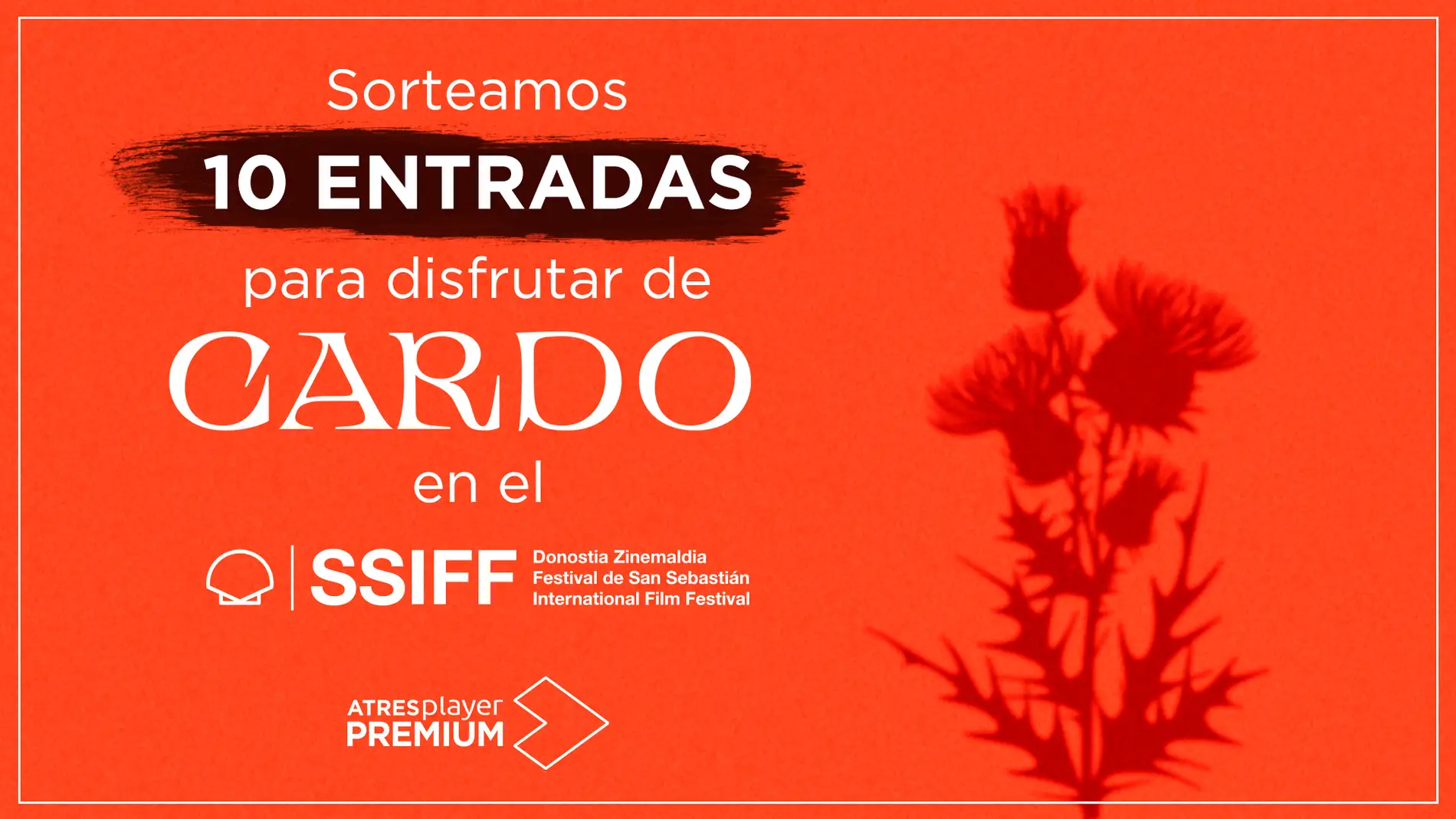 ¿Te gustaría venirte al Festival de San Sebastián y disfrutar de &#39;Cardo&#39;?