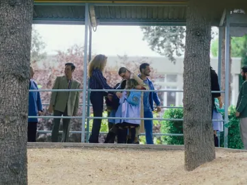 Así ha sido el cameo de Sofía Cristo Así ha sido el cameo de Sofía Cristo