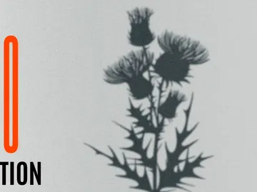 New Cardo Collection New Cardo Collection