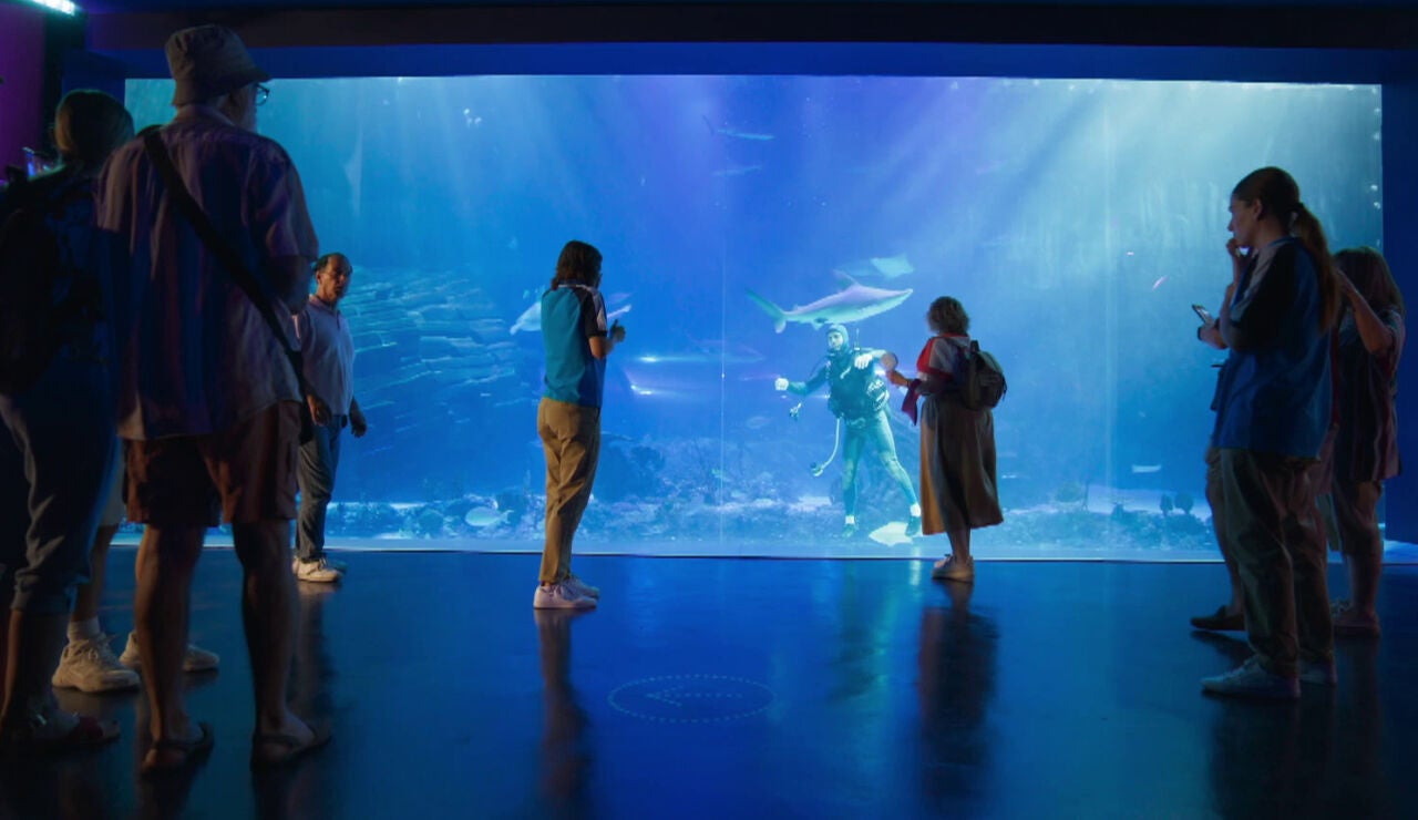 Un muerto flotando entre tiburones: un nuevo y misterioso caso para Luis y Naira