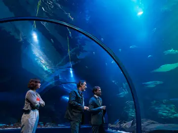 Naira y Luis en el acuario Naira y Luis en el acuario